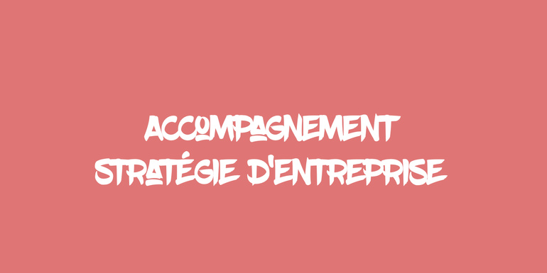 đ€ ACCOMPAGNER LE DIRIGEANT·E DANS SA STRATĂGIE DâENTREPRISE đ€ ACCOMPAGNER LE DIRIGEANT·E DANS SA STRATĂGIE DâENTREPRISE