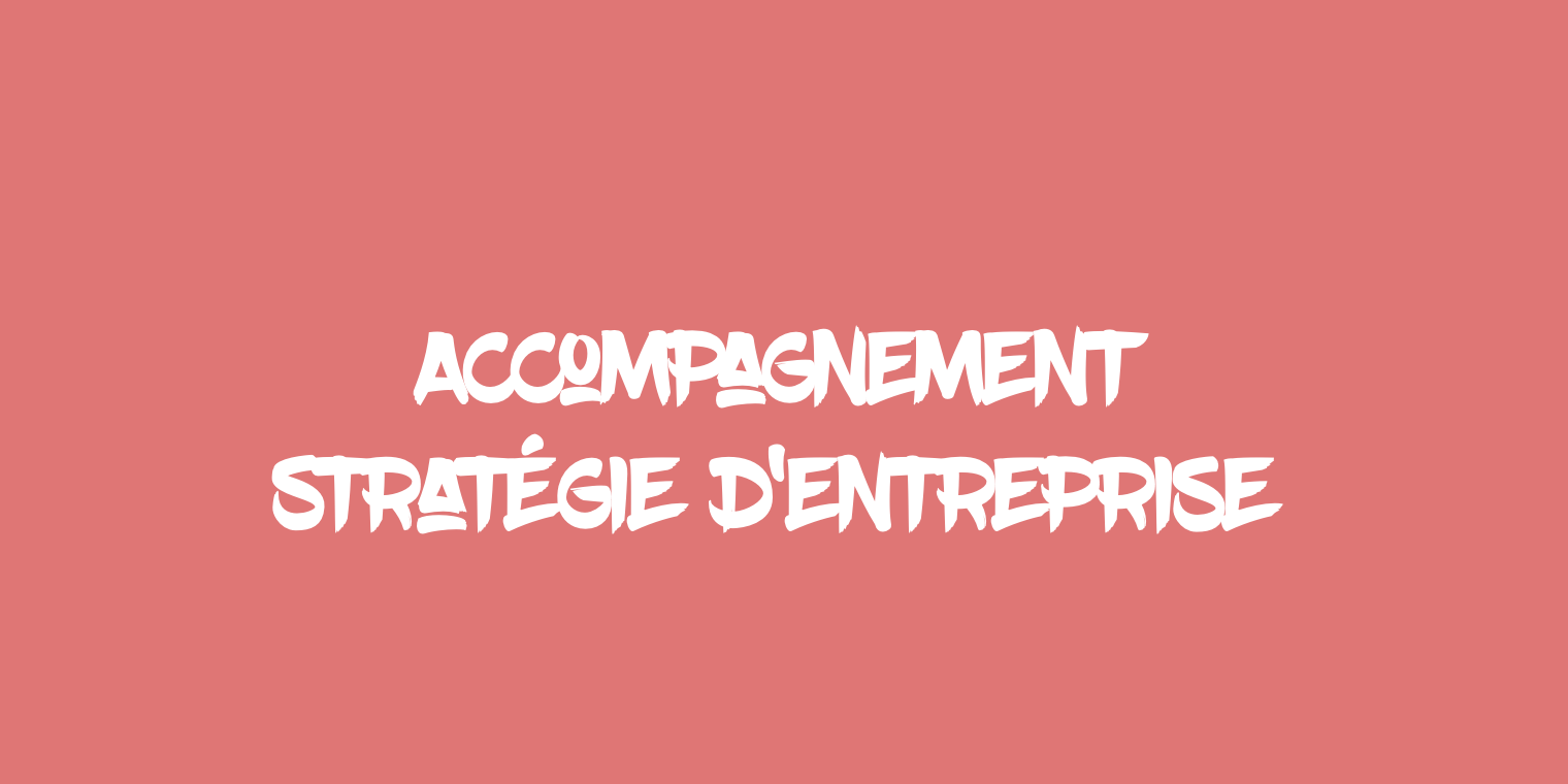🤝 ACCOMPAGNER LE DIRIGEANT·E DANS SA STRATÉGIE D’ENTREPRISE